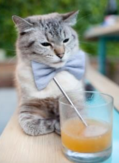 防线之盾与东亚铁壁，阿坎吉全能闪耀映衬韩国封锁乌克兰战术精粹